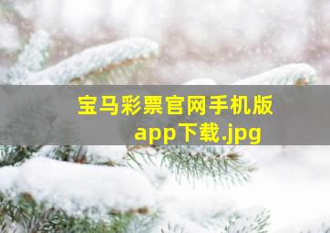 宝马彩票官网手机版app下载