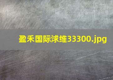 盈禾国际浗维33300
