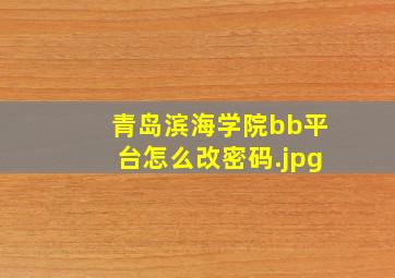 青岛滨海学院bb平台怎么改密码