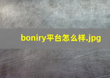 boniry平台怎么样