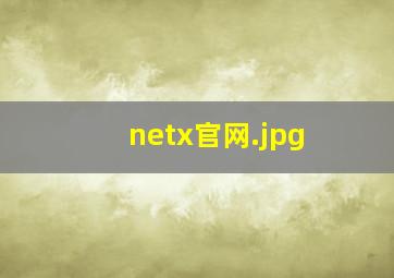 netx官网