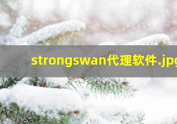 strongswan代理软件